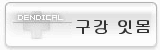치주조직 치아의 구성