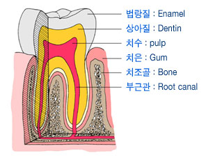 잇몸 병원 추천